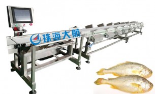 海產(chǎn)業(yè)騰飛，始于黃魚分選