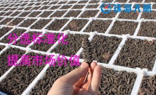 大家都用重量分揀機(jī)分選海參了！您還在用人工分選嗎？