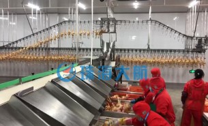 復工后禽肉屠宰加工產(chǎn)量提不上去？快用珠海大航重量分選機